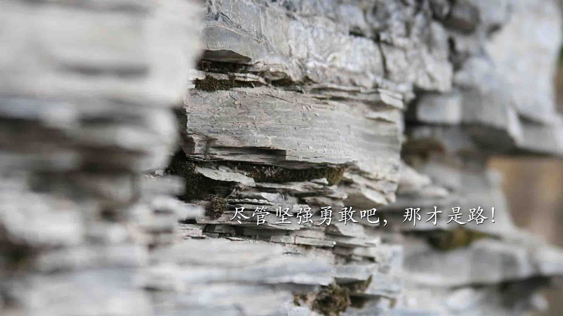 爱游戏体育平台-上海海港签下国际新援，上海海港官宣
