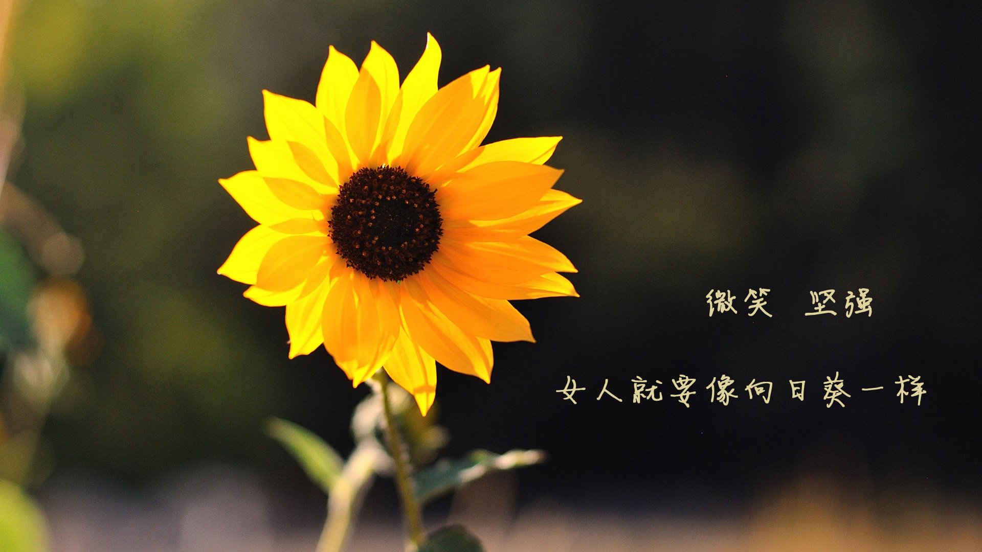 爱游戏app-中国女足教练团队优化，备战东京奥运，中国女足教练组成员名单