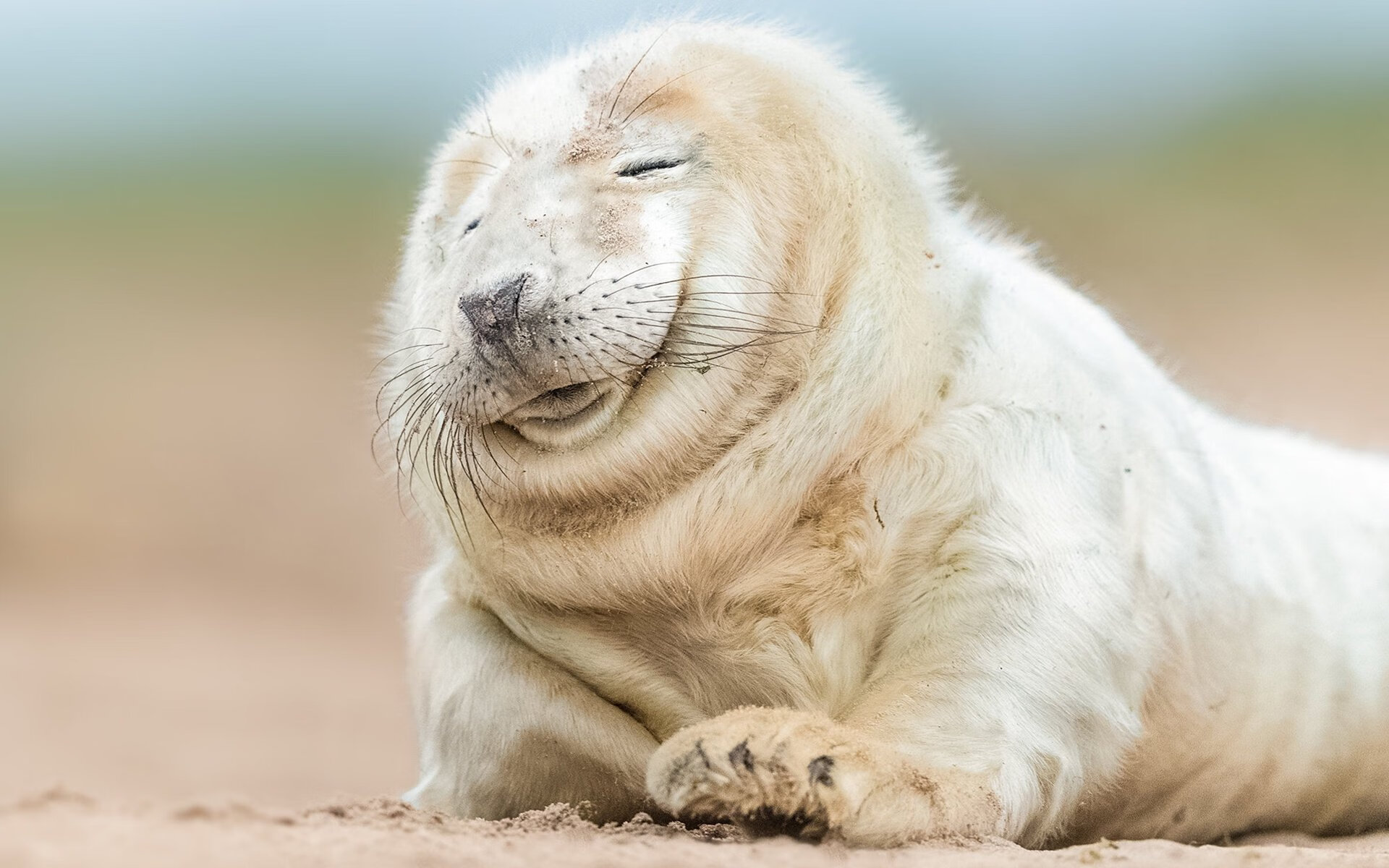 湖人逆袭开拓者东区半决赛暂领先，湖人队与开拓者队比赛