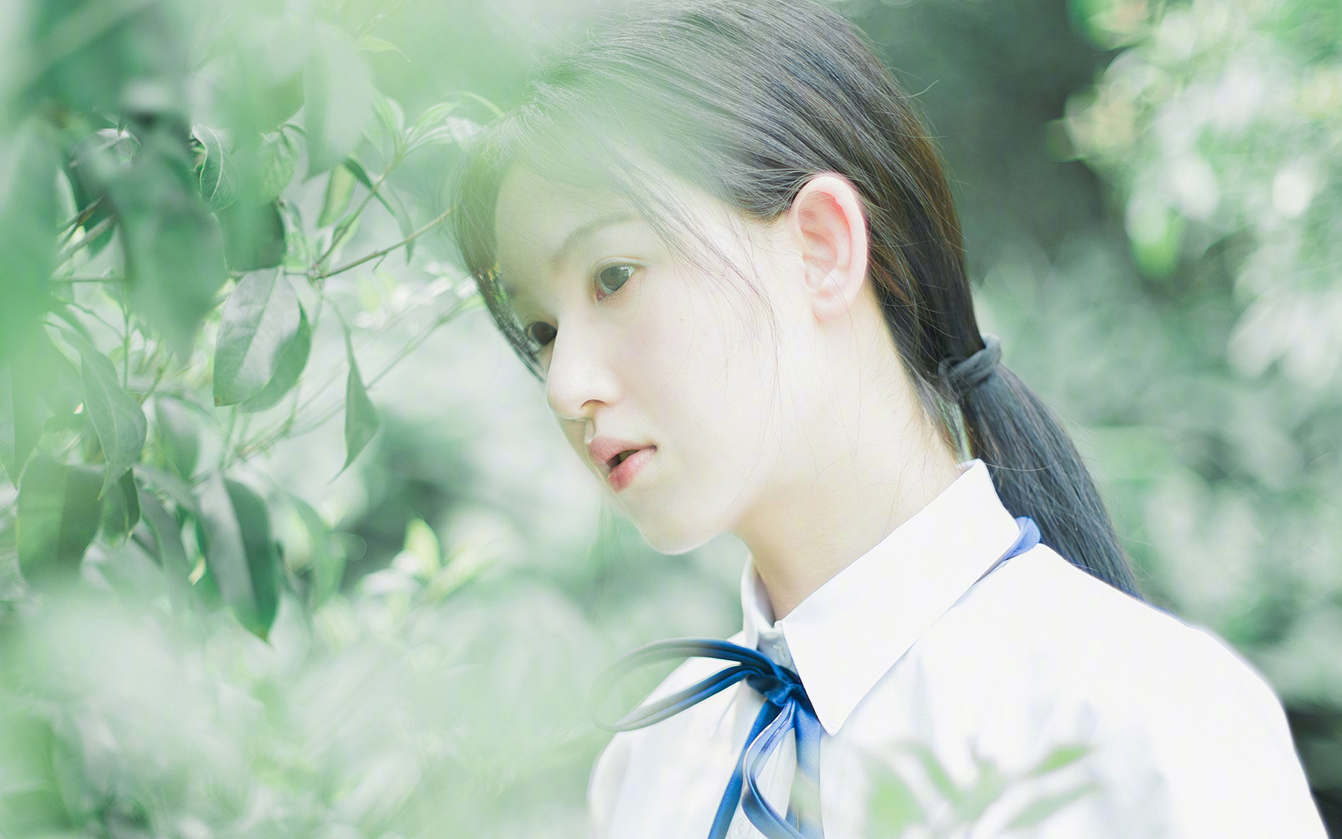 鹈鹕队奇才表现耀眼 实力大幅提高,鹈鹕队队员名单最新