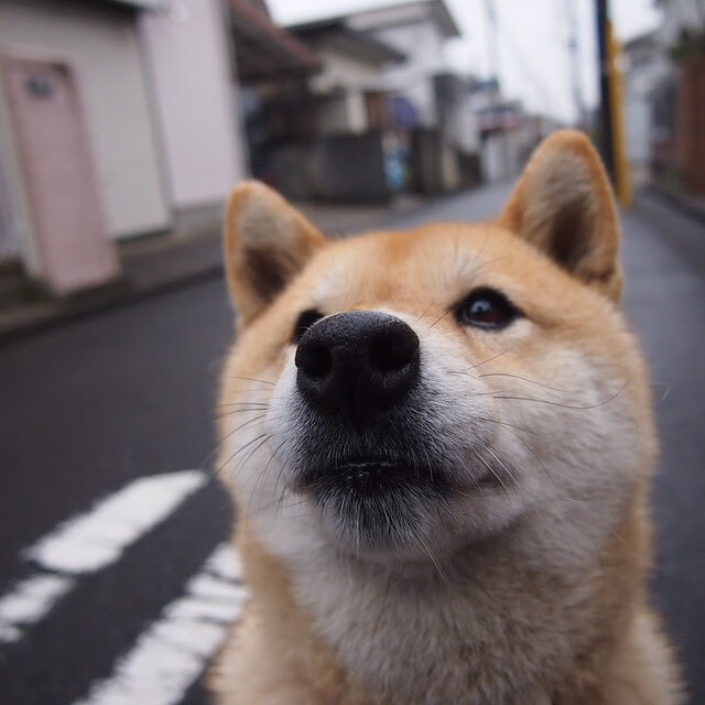 世界青少年花样自行车锦标赛青春扬帆，全国青少年自行车赛