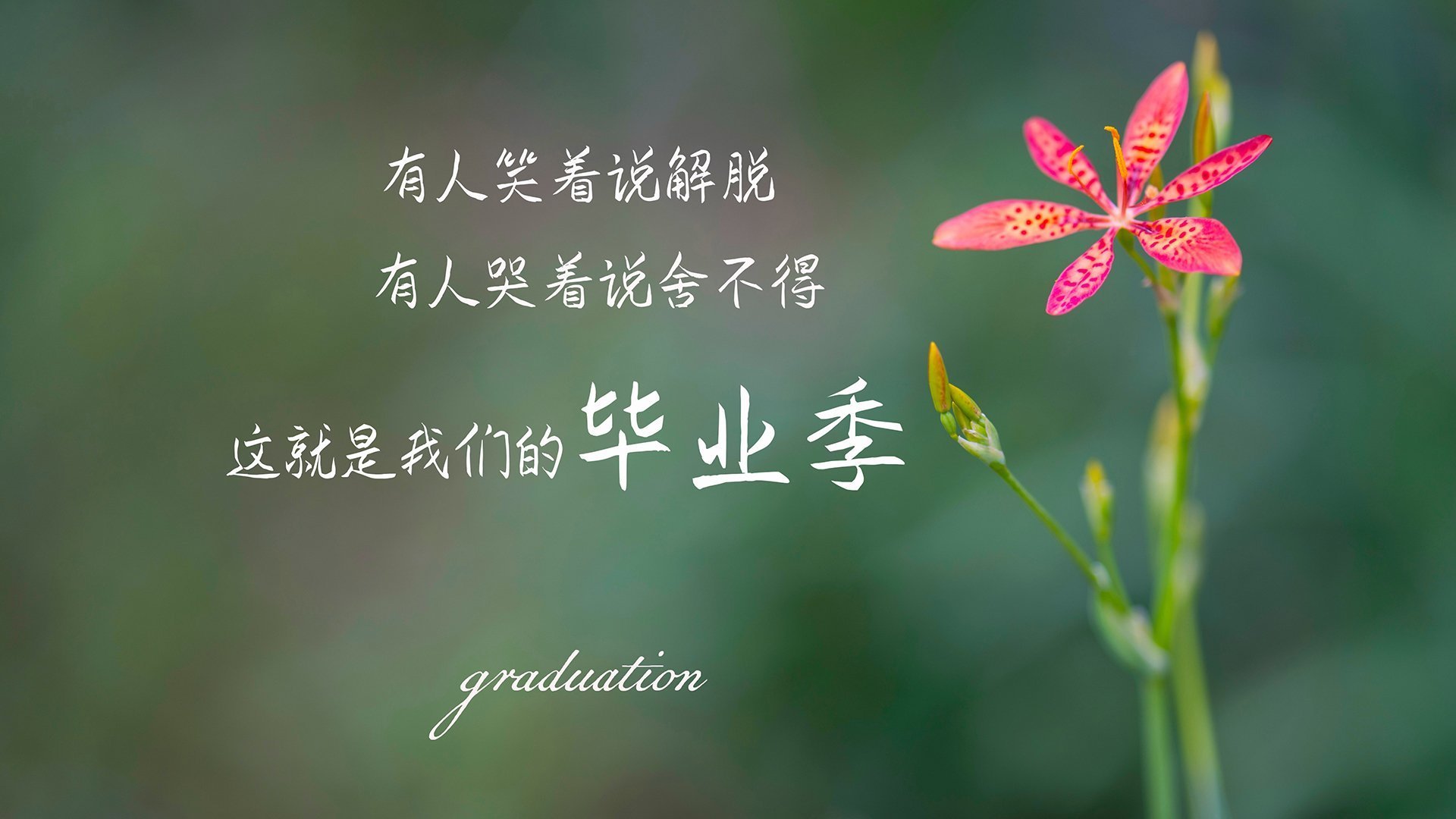 爱游戏app下载-澳女队蝶泳段小幅领先 稳定输出，奥运女子蝶泳金牌