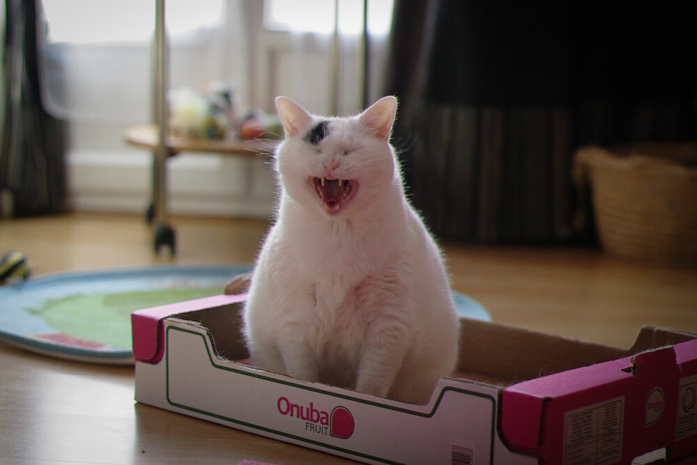 谷爱凌接受专访畅谈运动生活平衡,谷爱凌 宣传片