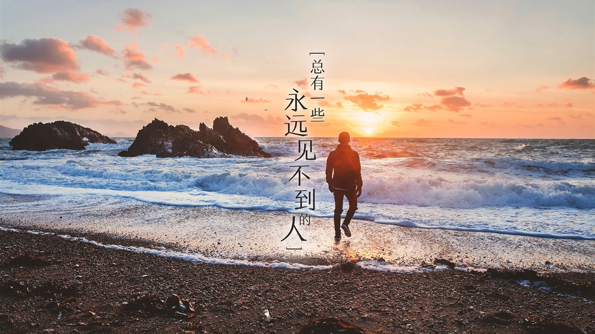 爱游戏官网-陈佳50米蝶泳半程领先奠定胜局，50米蝶泳成绩